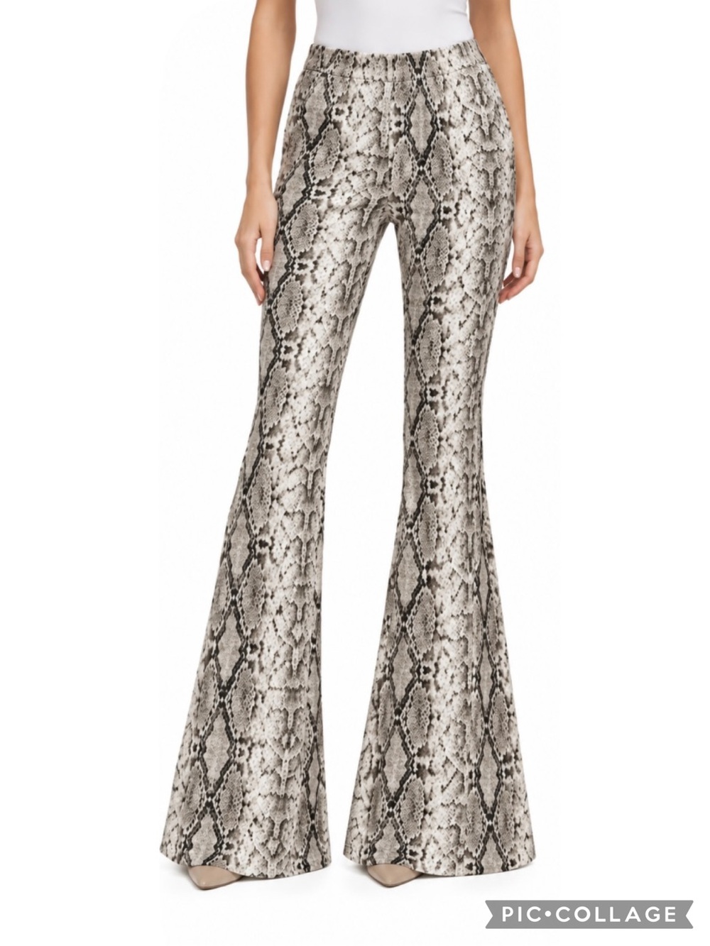 Saints & Hearts Snakeskin Super Flare Ivory Black Shiny Pants NWT L (fits a M)